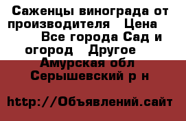 Саженцы винограда от производителя › Цена ­ 800 - Все города Сад и огород » Другое   . Амурская обл.,Серышевский р-н